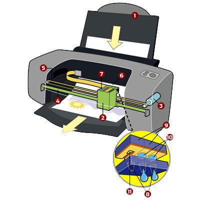 Canon CLI-8 Ink Cartridge