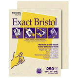 Exact Vellum Bristol Card Stock
